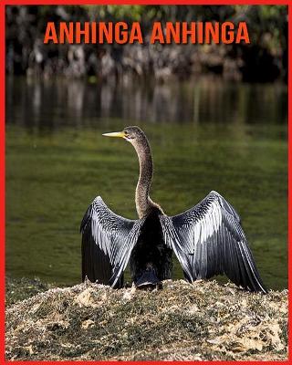 Book cover for Anhinga anhinga