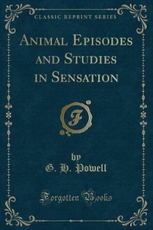 Cover of Animal Episodes and Studies in Sensation (Classic Reprint)