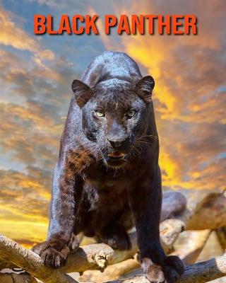 Book cover for Black Panther