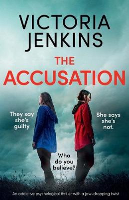 Book cover for The Accusation