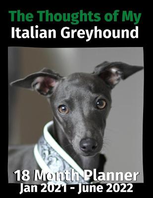 Book cover for The Thoughts of My Italian Greyhound