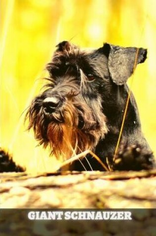 Cover of Giant Schnauzer