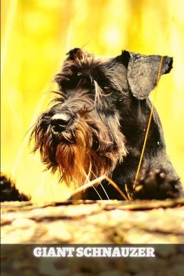 Book cover for Giant Schnauzer