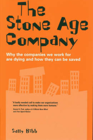 Cover of The Stone-age Company