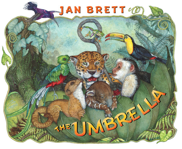 Book cover for The Umbrella