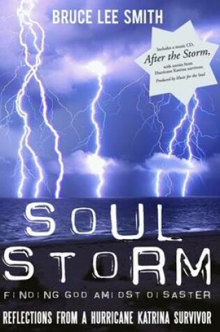 Cover of Soul Storm