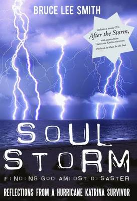 Book cover for Soul Storm