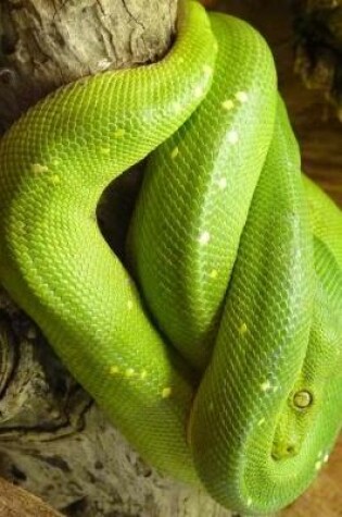 Cover of Green Tree Python Curled Up in a Tree Journal