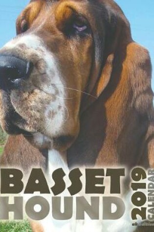 Cover of Basset Hound 2019 Calendar (UK Edition)