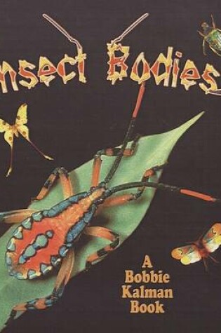Cover of Insect Bodies