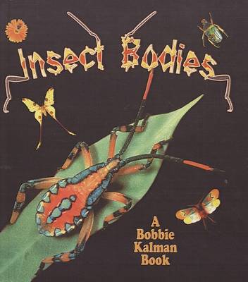 Book cover for Insect Bodies