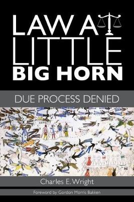 Book cover for Law at Little Big Horn
