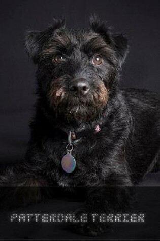 Cover of Patterdale Terrier