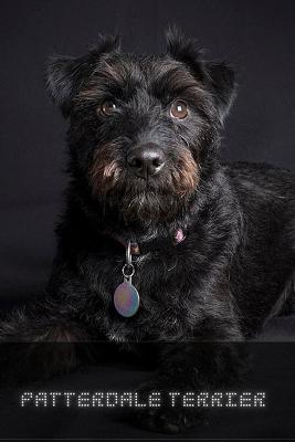 Book cover for Patterdale Terrier