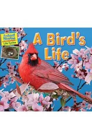 Cover of A Bird's Life