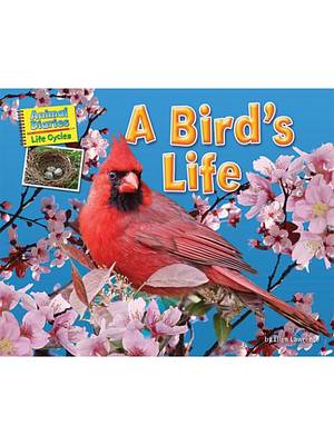 Cover of A Bird's Life