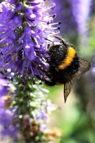 Cover of Bumblebee Notebook