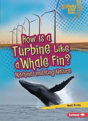 Cover of How Is a Turbine Like a Whale Fin?