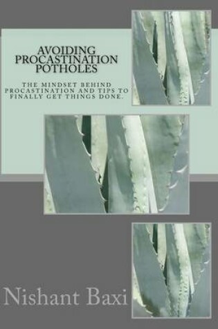 Cover of Avoiding Procastination Potholes