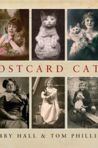 Cover of Postcard Cats