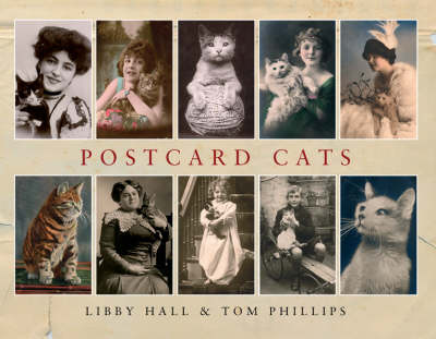 Book cover for Postcard Cats