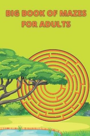 Cover of Big Book Of Mazes For Adults