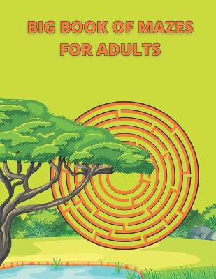 Book cover for Big Book Of Mazes For Adults