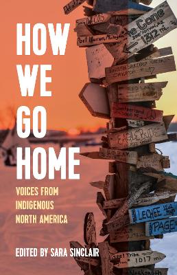 Book cover for How We Go Home