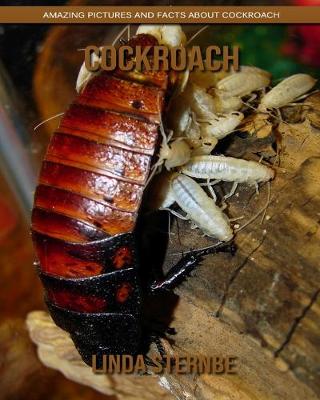 Cover of Cockroach