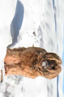 Book cover for Tibetan Terrier Tromping Through the Snow Journal