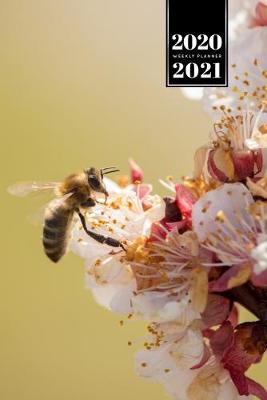 Book cover for Bee Insects Beekeeping Beekeeper Week Planner Weekly Organizer Calendar 2020 / 2021 - Cherry Blossom