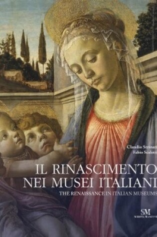 Cover of The Renaissance in Italian Museums