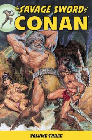 Cover of Savage Sword Of Conan Volume 3