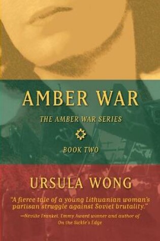 Cover of Amber War