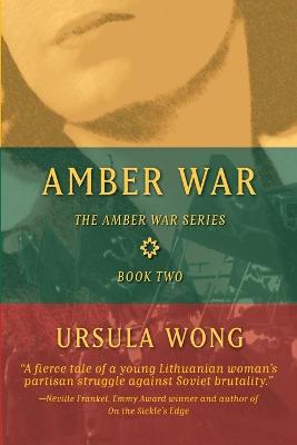 Book cover for Amber War