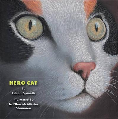 Book cover for Hero Cat