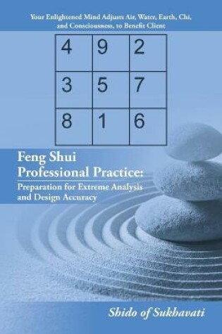 Cover of Feng Shui Professional Practice
