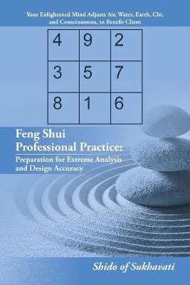 Book cover for Feng Shui Professional Practice