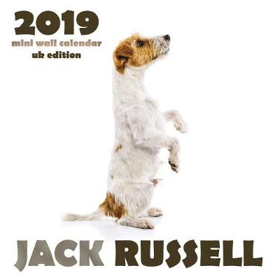 Book cover for Jack Russell 2019 Mini Wall Calendar (UK Edition)