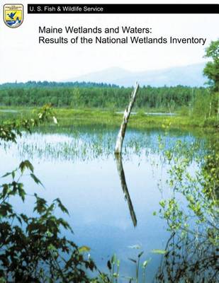 Book cover for Maine Wetlands and Waters