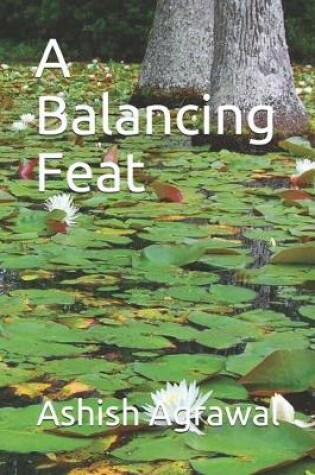 Cover of A Balancing Feat