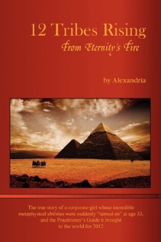 Cover of 12 Tribes Rising from Eternity's Fire