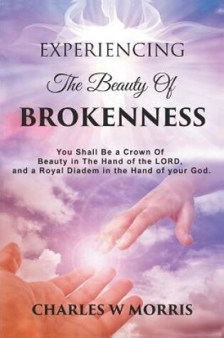 Cover of Experiencing the Beauty of Brokenness