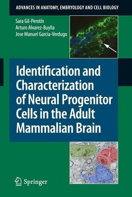 Book cover for Identification and Characterization of Neural Progenitor Cells in the Adult Mammalian Brain