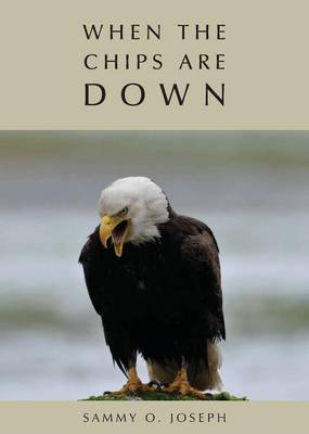 Book cover for When the Chips Are DOWN