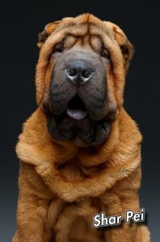 Cover of Shar Pei