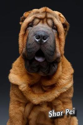 Book cover for Shar Pei