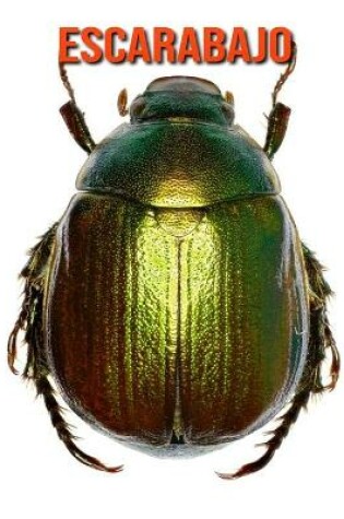 Cover of Escarabajo
