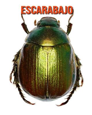 Book cover for Escarabajo