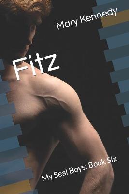 Book cover for Fitz